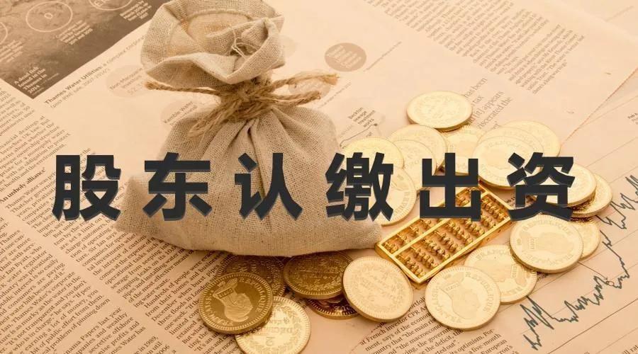 股东和法人代表哪个风险大（股东和法人哪个风险大）