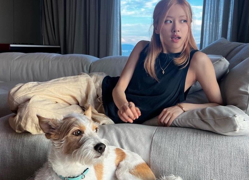 儿子嫌我唠叨声音大怎么回复呢(老了儿子嫌弃我该怎么办)