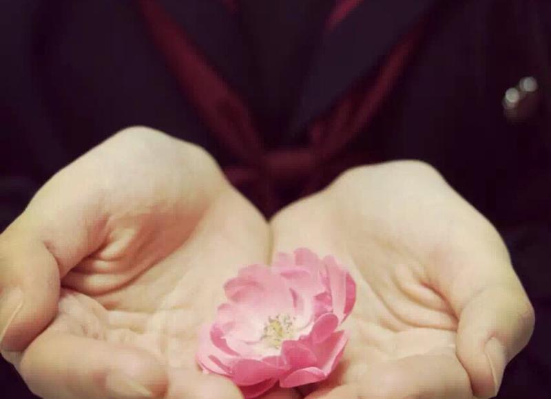 头发细软少的短发图片(发量少又细软适合什么发型) 头发细软少的短发图片(发量少又细软适合什么发型)