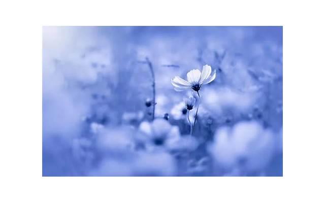 为什么我和女朋友总是吵架？