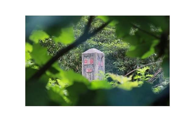 希爱力的强效效果究竟有多强？