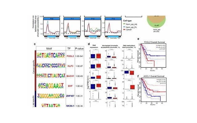 性格冷暴力的表现