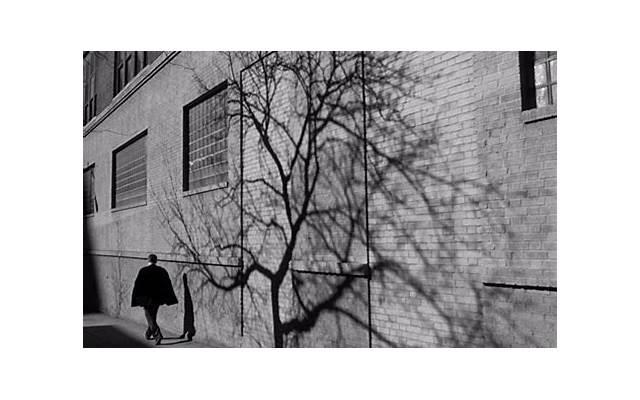 油焖茄子的做法，油焖茄子的做法 最正宗的做法