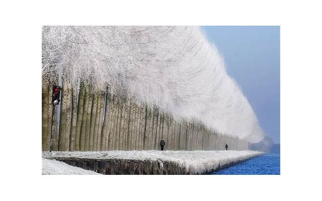 洋葱对前列腺炎有何好处吗？