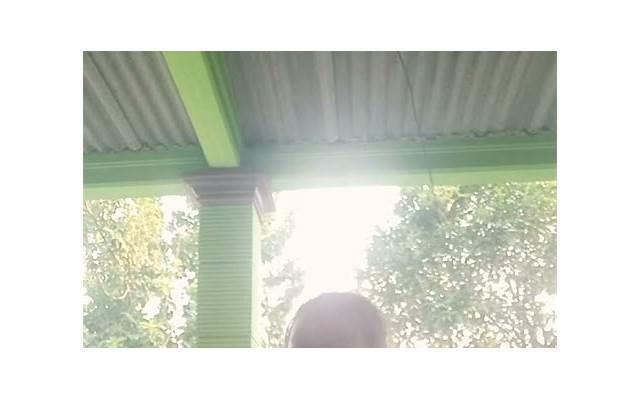 猫和路由器，两者之间的爱恨情仇