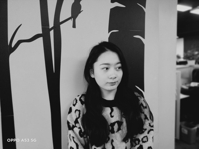 oppo a53 5g（OPPO A53测评）