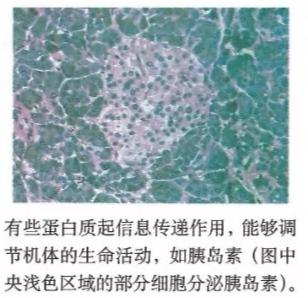 碳基生物哪里来的(碳基生物是怎么回事)(3)