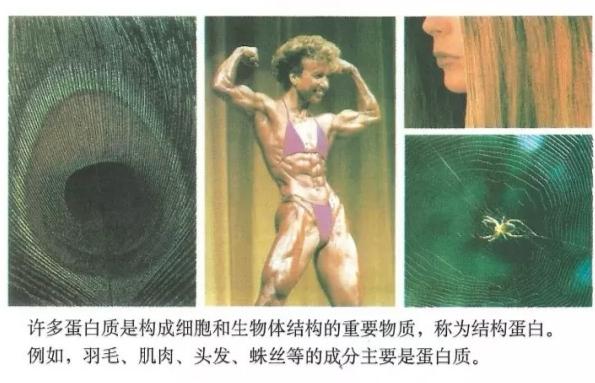 碳基生物哪里来的(碳基生物是怎么回事)(2)