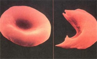 碳基生物哪里来的(碳基生物是怎么回事)(9)