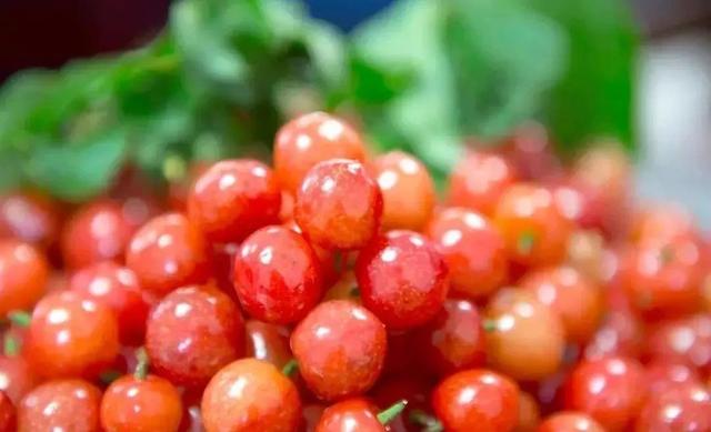 樱桃园采摘樱桃知识点(又是一年樱桃季)(19)