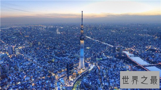 世界最大城市排行榜前十名，纽约的面积竟然达到了789万平方千米！