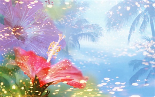 50张win7专用壁纸