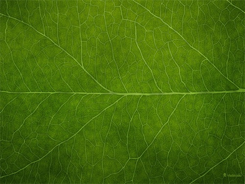 50张win7专用壁纸