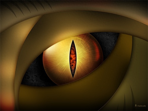 50张win7专用壁纸